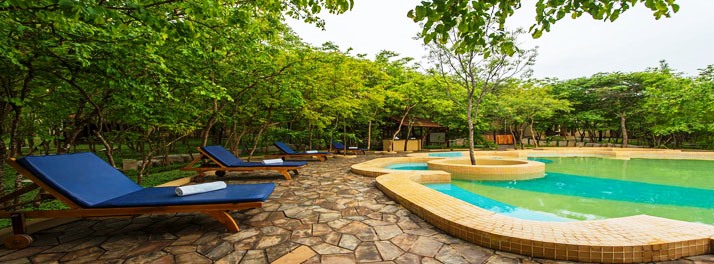 1832/The Windflower Tusker Trails - Bandipur 16.jpg